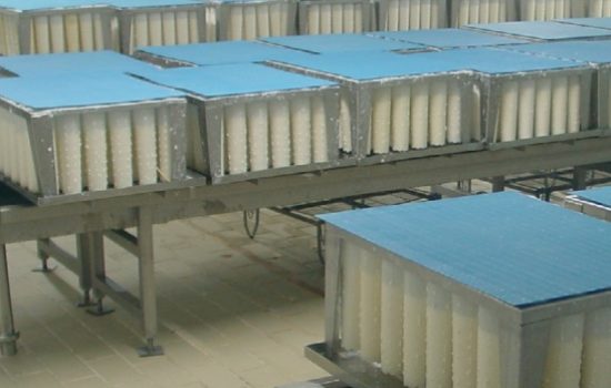 Goat cheese moulds 2